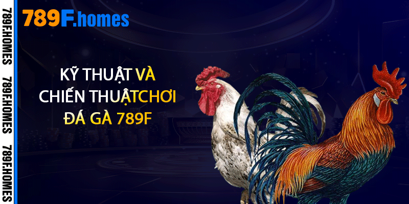 Đá Gà 789F - Trùm Cá Cược Và Giải Trí Đỉnh Cao 1 Kỹ thuật và chiến thuật chơi đá gà 789F